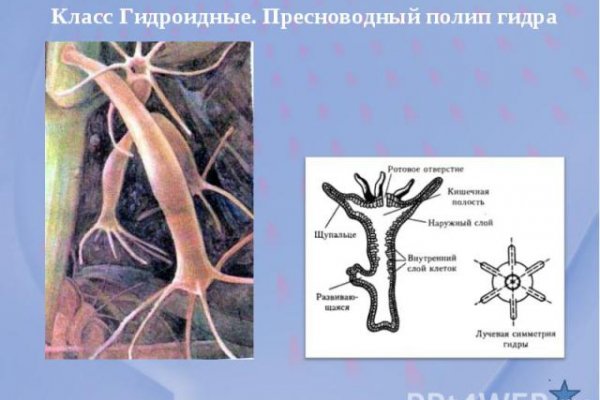 Угнали аккаунт кракен